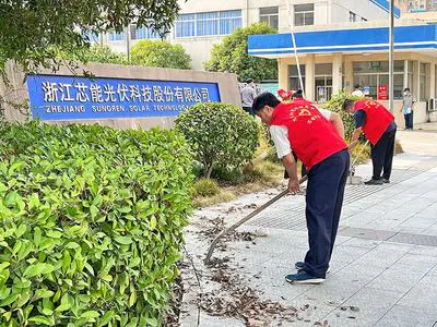 芯能科技党支部开展“助力创城,党员先行”主题党日活动